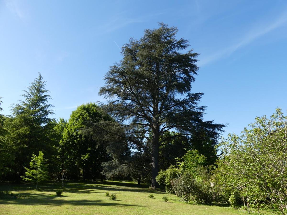 Le Petit Chateau - Adults Only Property Le Bugue Exterior foto
